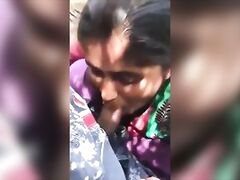 Mallu girl outdoor cock sucking & Boobs showing to boyfriend