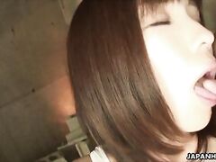 After she is on her back again it takes a little while and she is filled with cum.